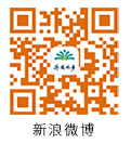 新浪微博